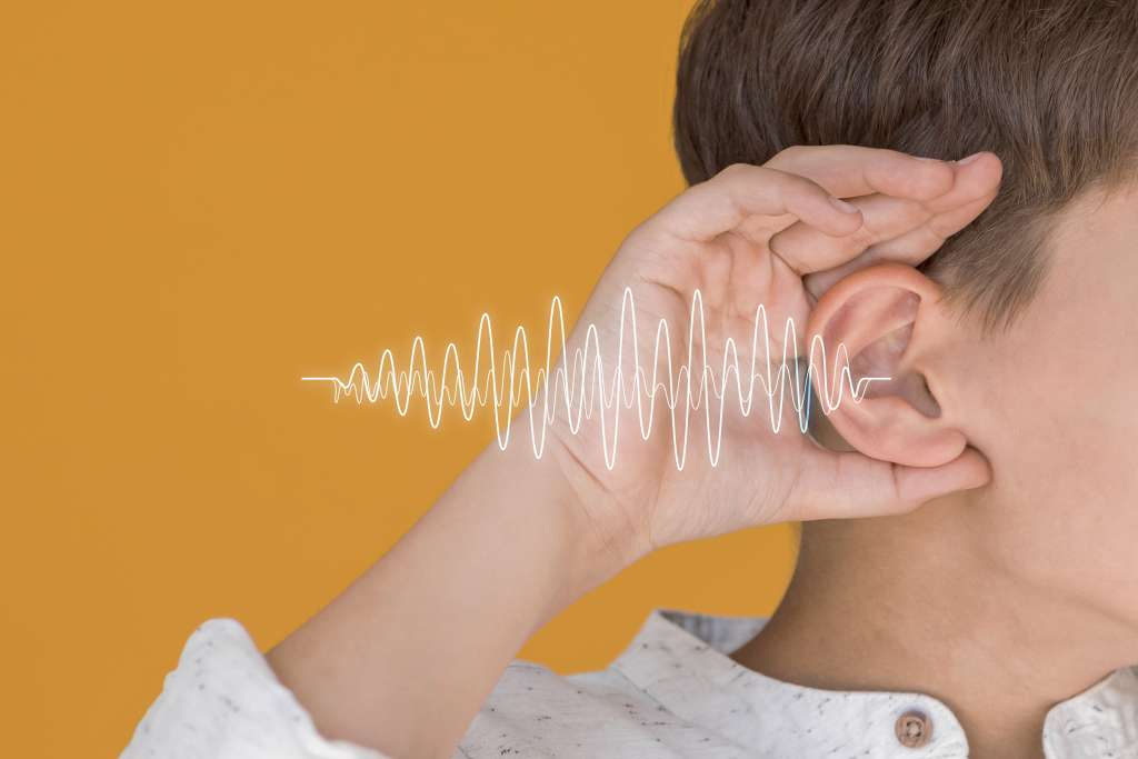 background noise hearing aid